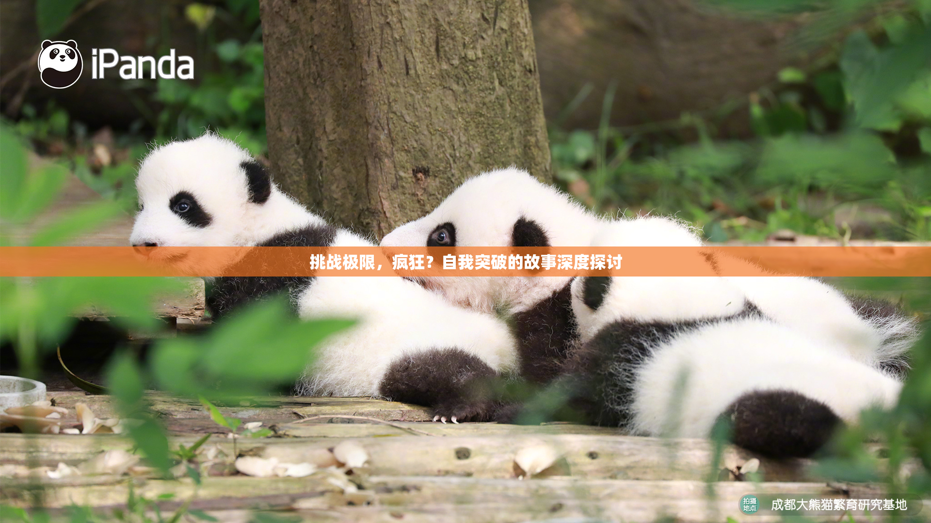 挑战极限，疯狂？自我突破的故事深度探讨