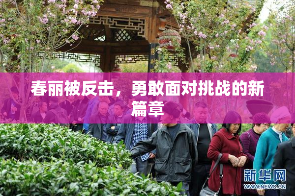 春丽被反击，勇敢面对挑战的新篇章
