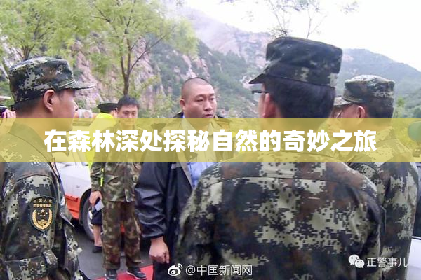 在森林深处探秘自然的奇妙之旅