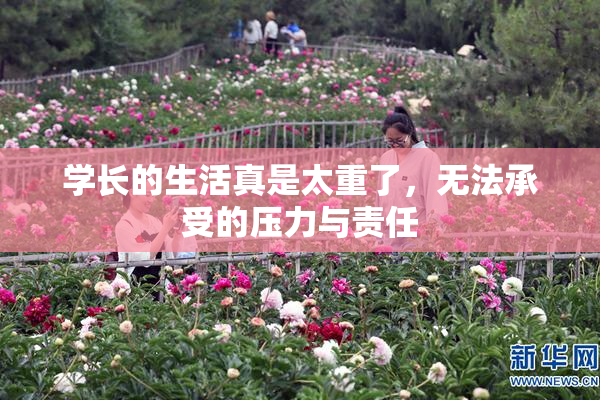 学长的生活真是太重了，无法承受的压力与责任