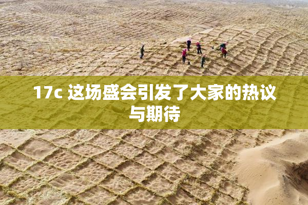 17c 这场盛会引发了大家的热议与期待