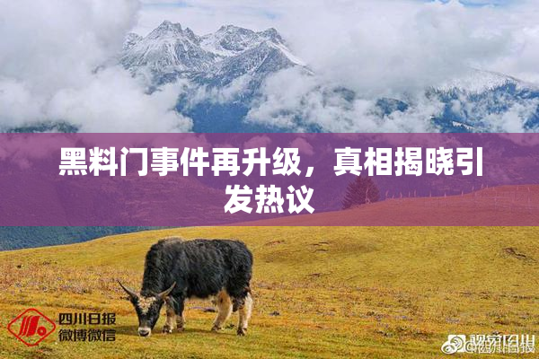 黑料门事件再升级，真相揭晓引发热议