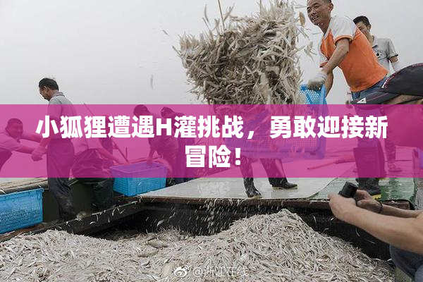 小狐狸遭遇H灌挑战，勇敢迎接新冒险！