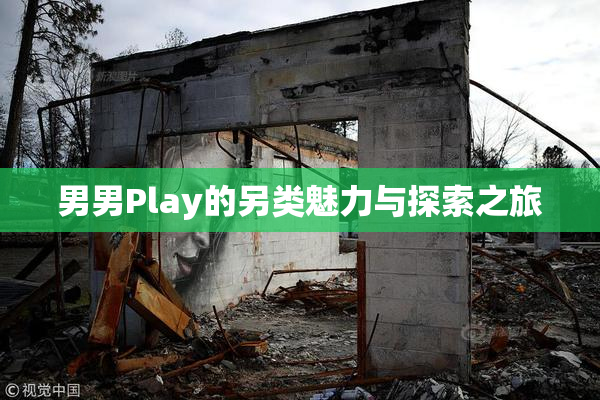 男男Play的另类魅力与探索之旅