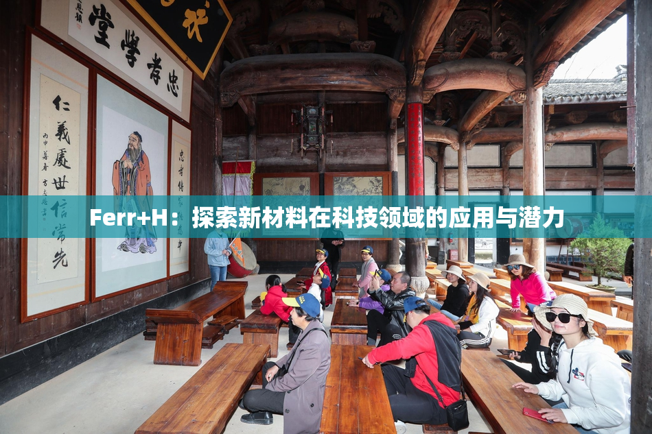 Ferr+H：探索新材料在科技领域的应用与潜力