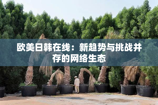 欧美日韩在线：新趋势与挑战并存的网络生态