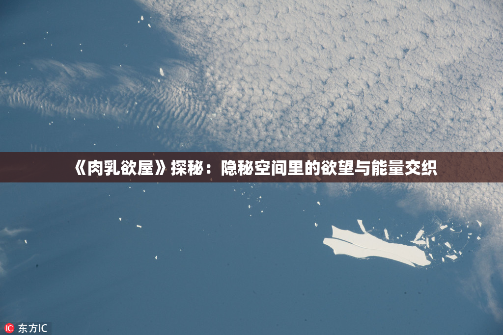 《肉乳欲屋》探秘：隐秘空间里的欲望与能量交织