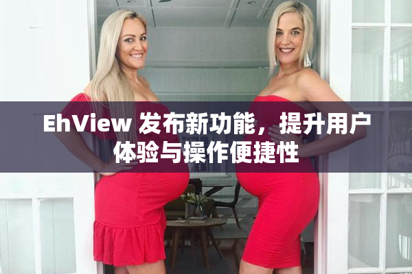 EhView 发布新功能，提升用户体验与操作便捷性