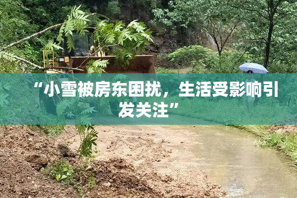 “小雪被房东困扰，生活受影响引发关注”