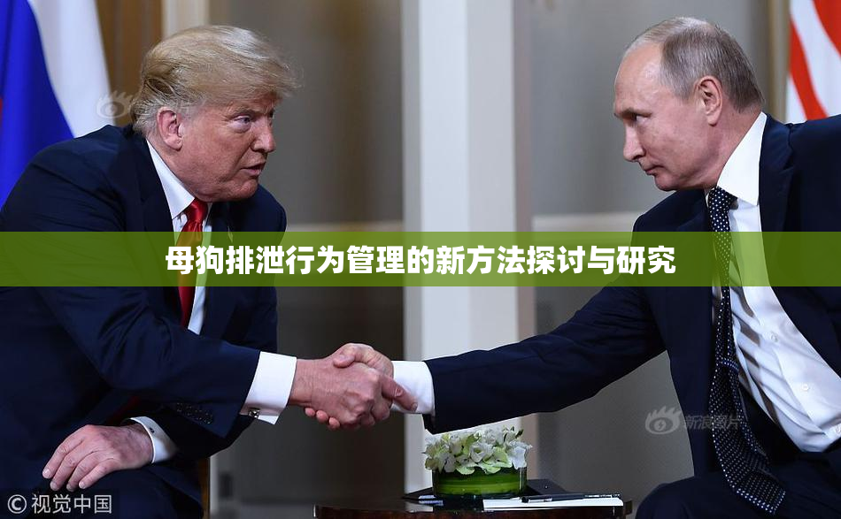 母狗排泄行为管理的新方法探讨与研究