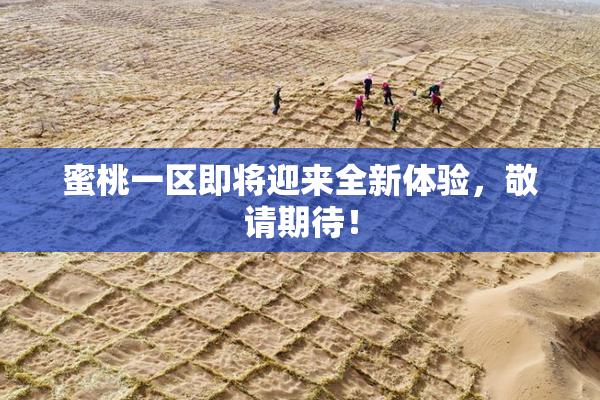 蜜桃一区即将迎来全新体验，敬请期待！