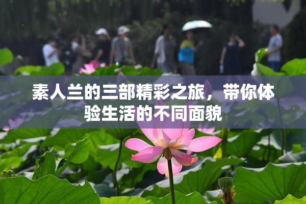 素人兰的三部精彩之旅，带你体验生活的不同面貌