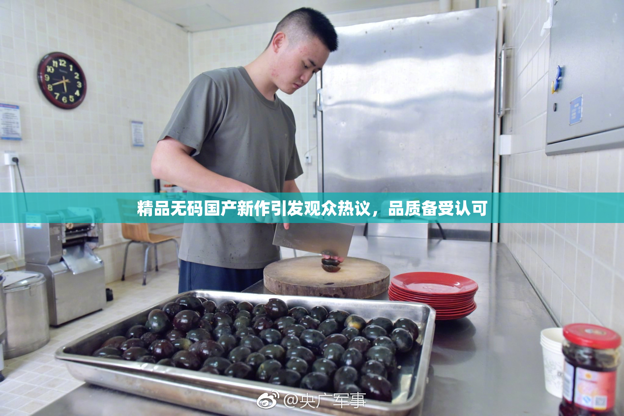 精品无码国产新作引发观众热议，品质备受认可