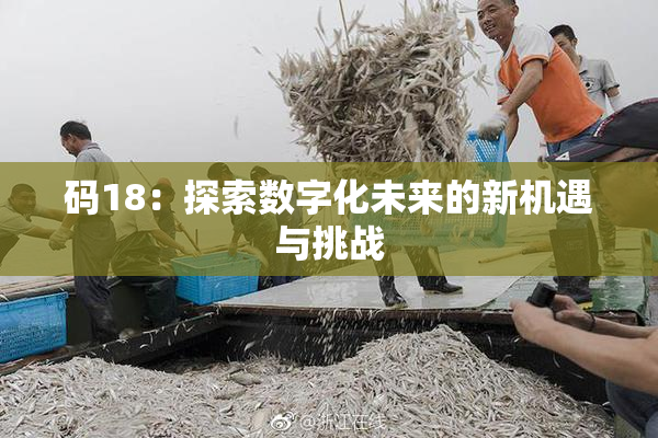 码18：探索数字化未来的新机遇与挑战