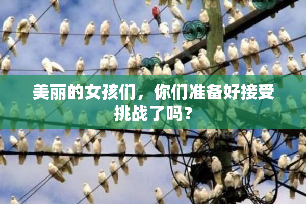 美丽的女孩们，你们准备好接受挑战了吗？