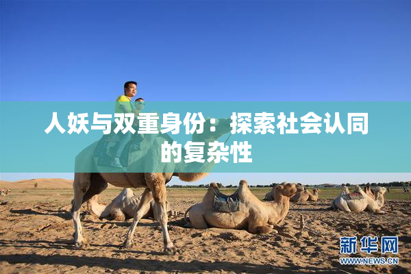 人妖与双重身份：探索社会认同的复杂性