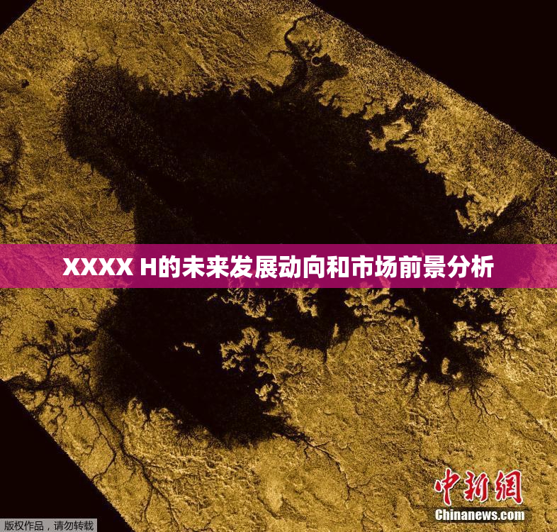 XXXX H的未来发展动向和市场前景分析