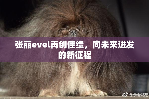 张丽evel再创佳绩，向未来进发的新征程