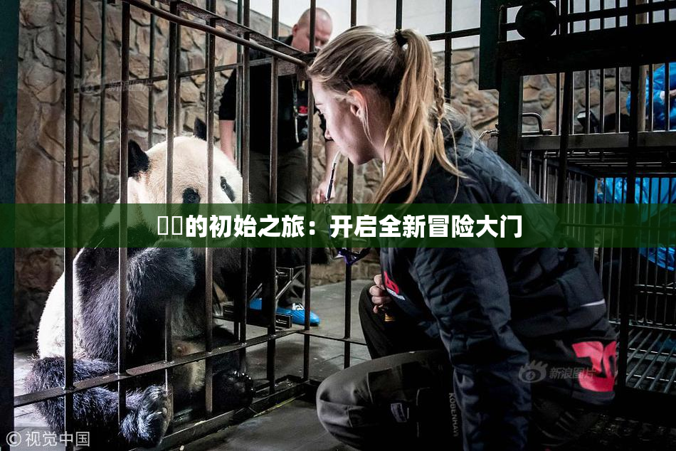 妺妺的初始之旅：开启全新冒险大门