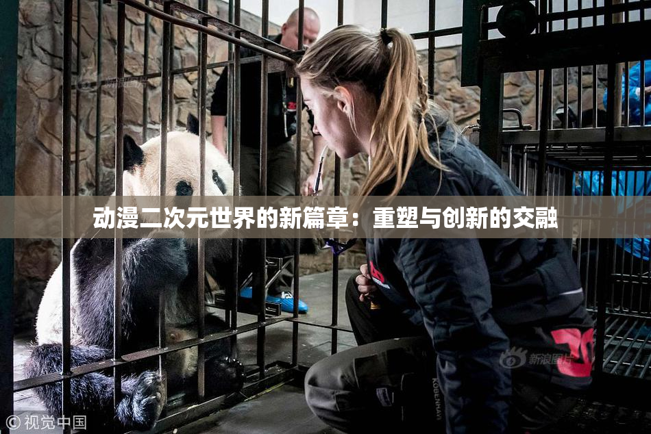 动漫二次元世界的新篇章：重塑与创新的交融