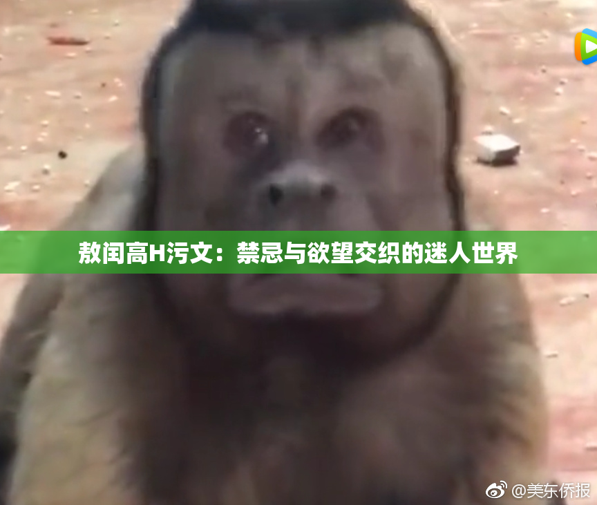 敖闰高H污文：禁忌与欲望交织的迷人世界