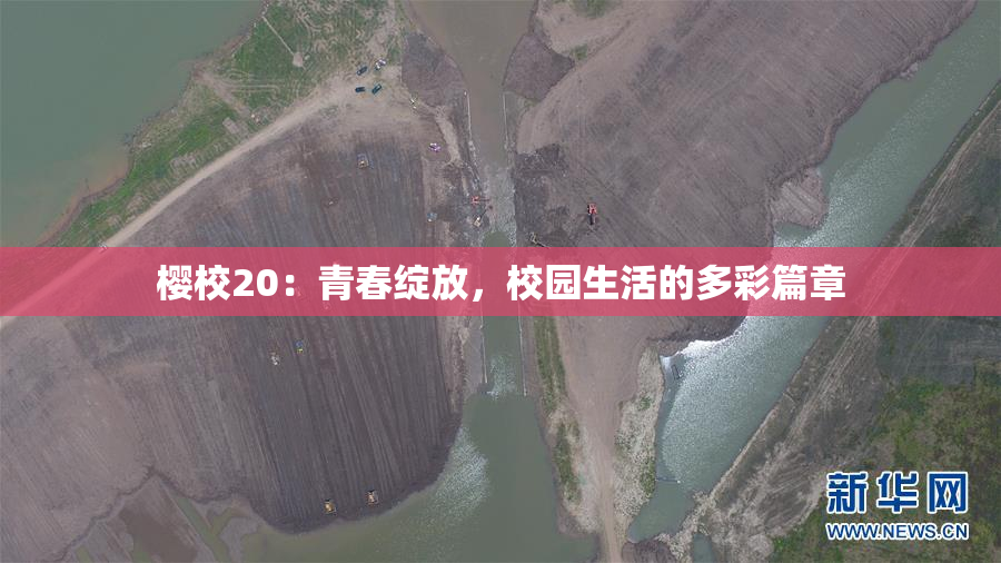 樱校20：青春绽放，校园生活的多彩篇章