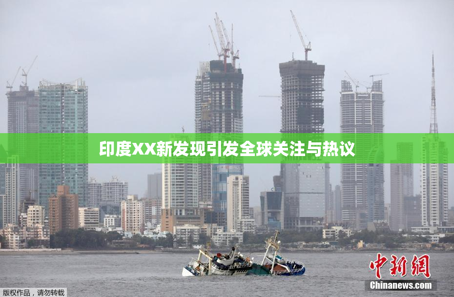 印度XX新发现引发全球关注与热议