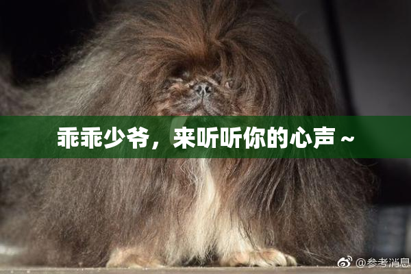 乖乖少爷，来听听你的心声～