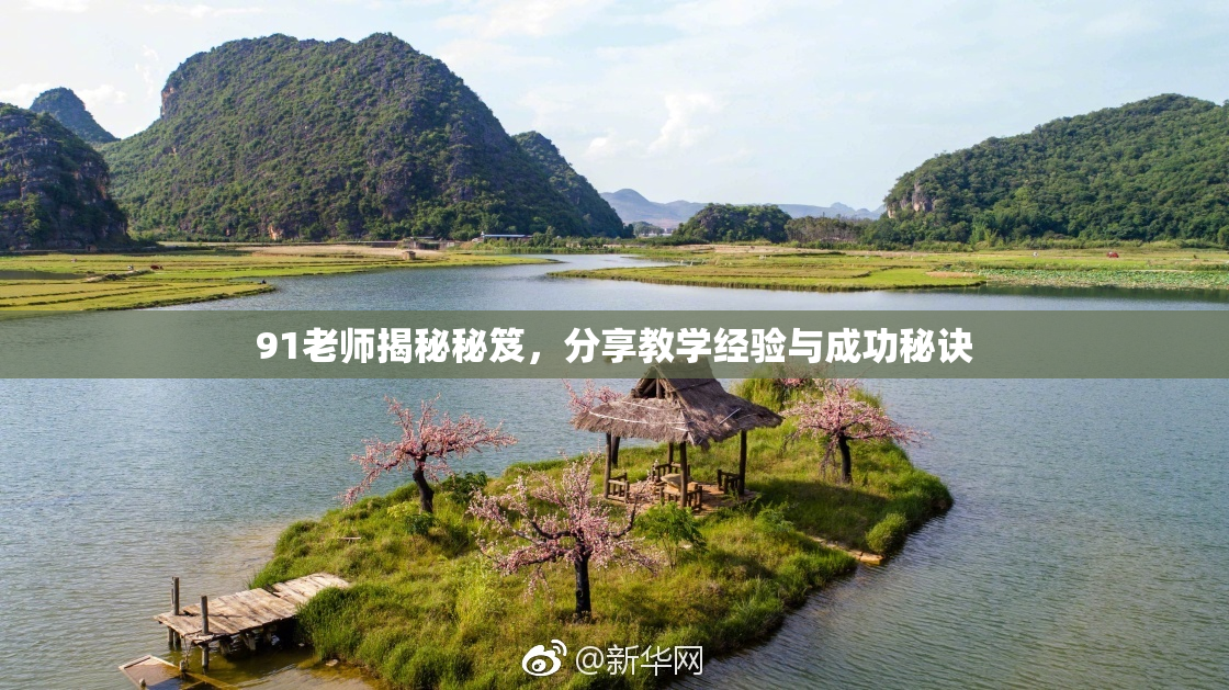 91老师揭秘秘笈，分享教学经验与成功秘诀