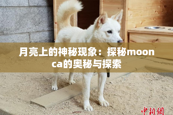 月亮上的神秘现象：探秘moonca的奥秘与探索