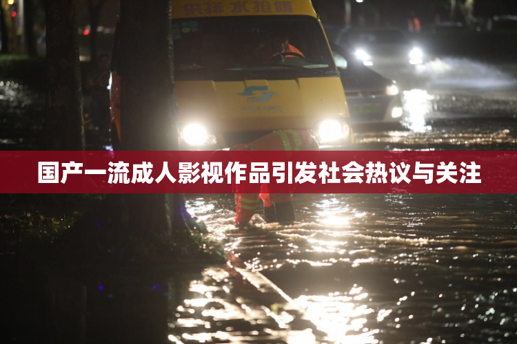 国产一流成人影视作品引发社会热议与关注