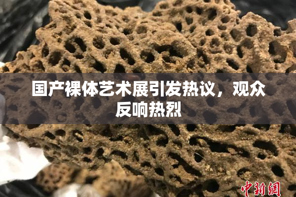国产裸体艺术展引发热议，观众反响热烈
