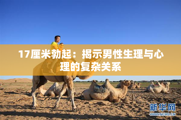 17厘米勃起：揭示男性生理与心理的复杂关系