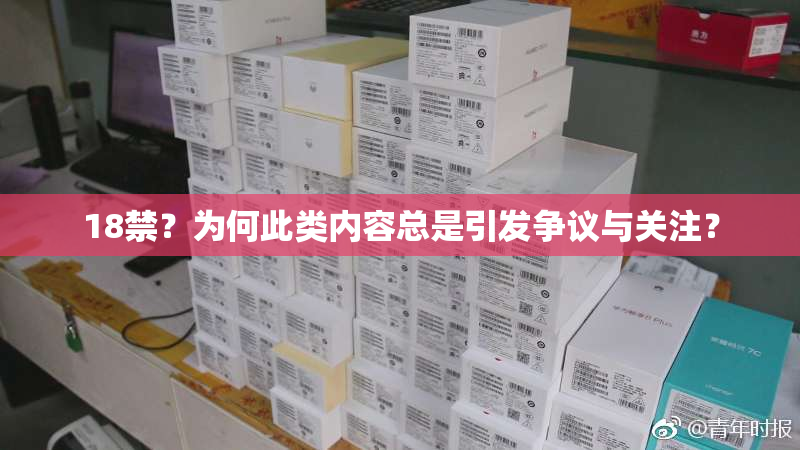 18禁？为何此类内容总是引发争议与关注？