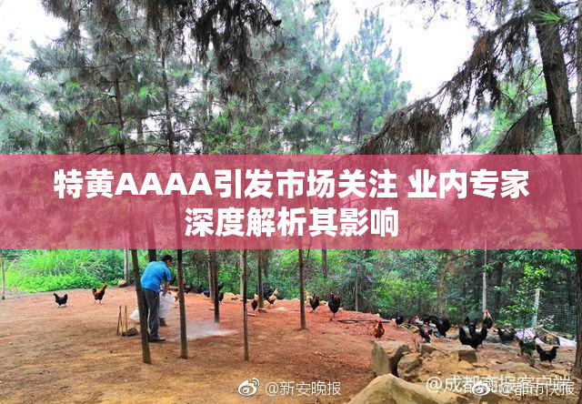 特黄AAAA引发市场关注 业内专家深度解析其影响