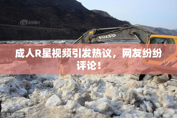 成人R星视频引发热议，网友纷纷评论！