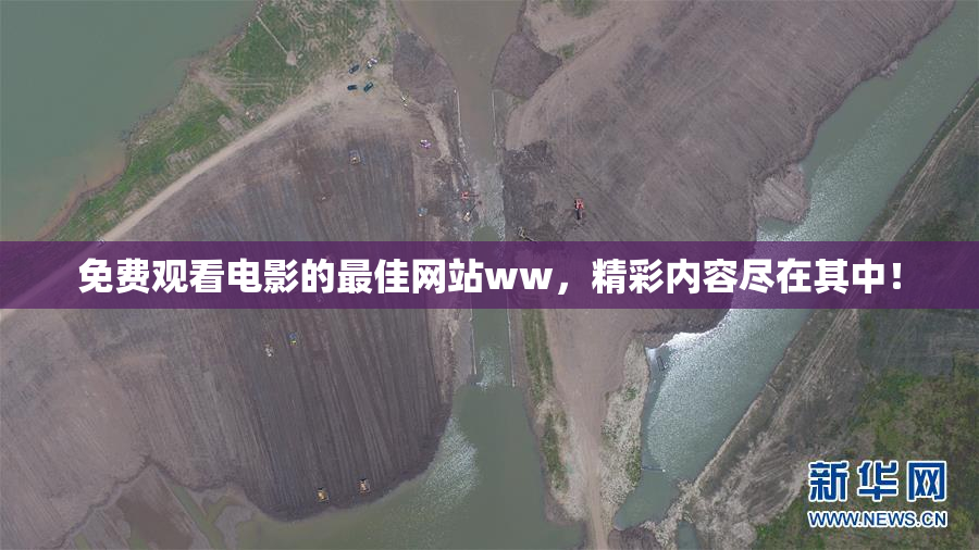 免费观看电影的最佳网站ww，精彩内容尽在其中！