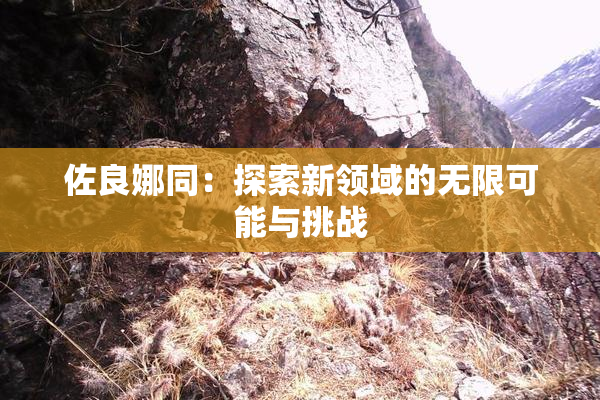 佐良娜同：探索新领域的无限可能与挑战