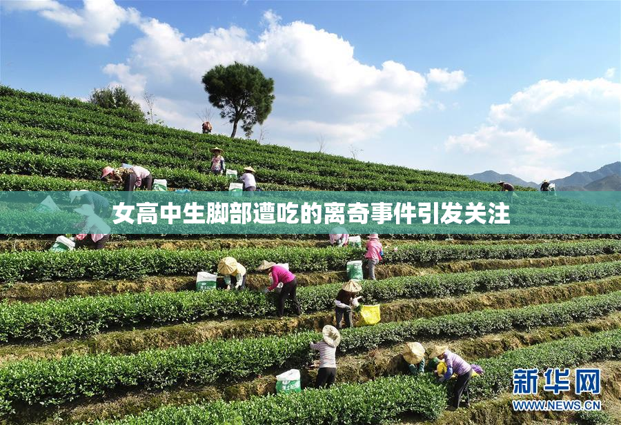 女高中生脚部遭吃的离奇事件引发关注