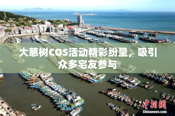 大慈树COS活动精彩纷呈，吸引众多宅友参与