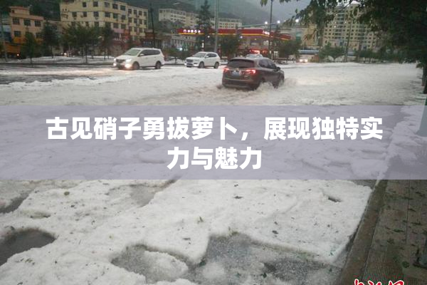 古见硝子勇拔萝卜，展现独特实力与魅力