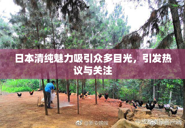 日本清纯魅力吸引众多目光，引发热议与关注