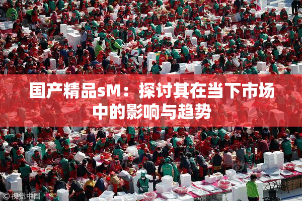 国产精品sM：探讨其在当下市场中的影响与趋势