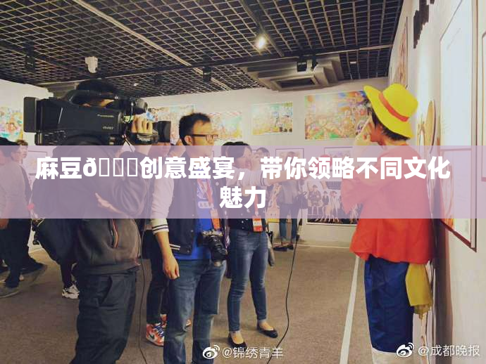 麻豆🔞创意盛宴，带你领略不同文化魅力