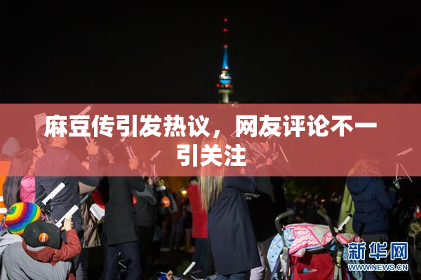麻豆传引发热议，网友评论不一引关注