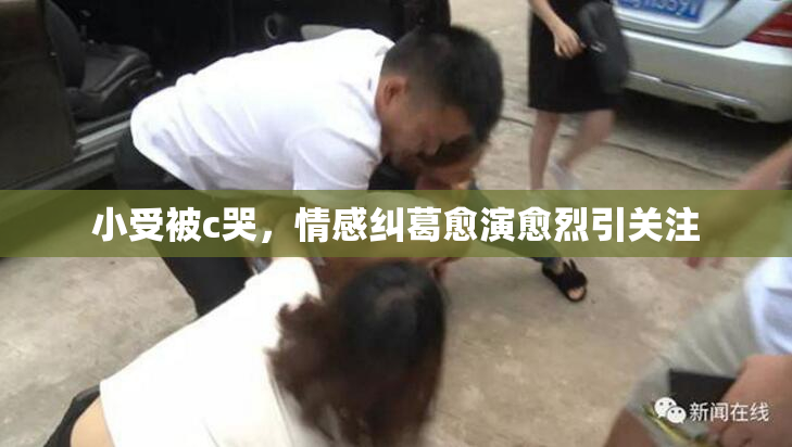 小受被c哭，情感纠葛愈演愈烈引关注