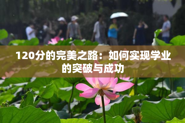 120分的完美之路：如何实现学业的突破与成功