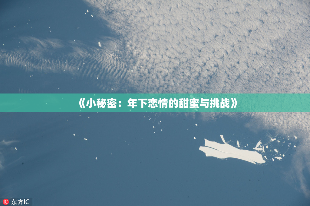 《小秘密：年下恋情的甜蜜与挑战》