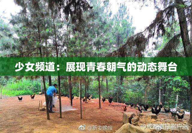 少女频道：展现青春朝气的动态舞台