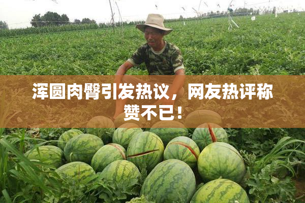 浑圆肉臀引发热议，网友热评称赞不已！